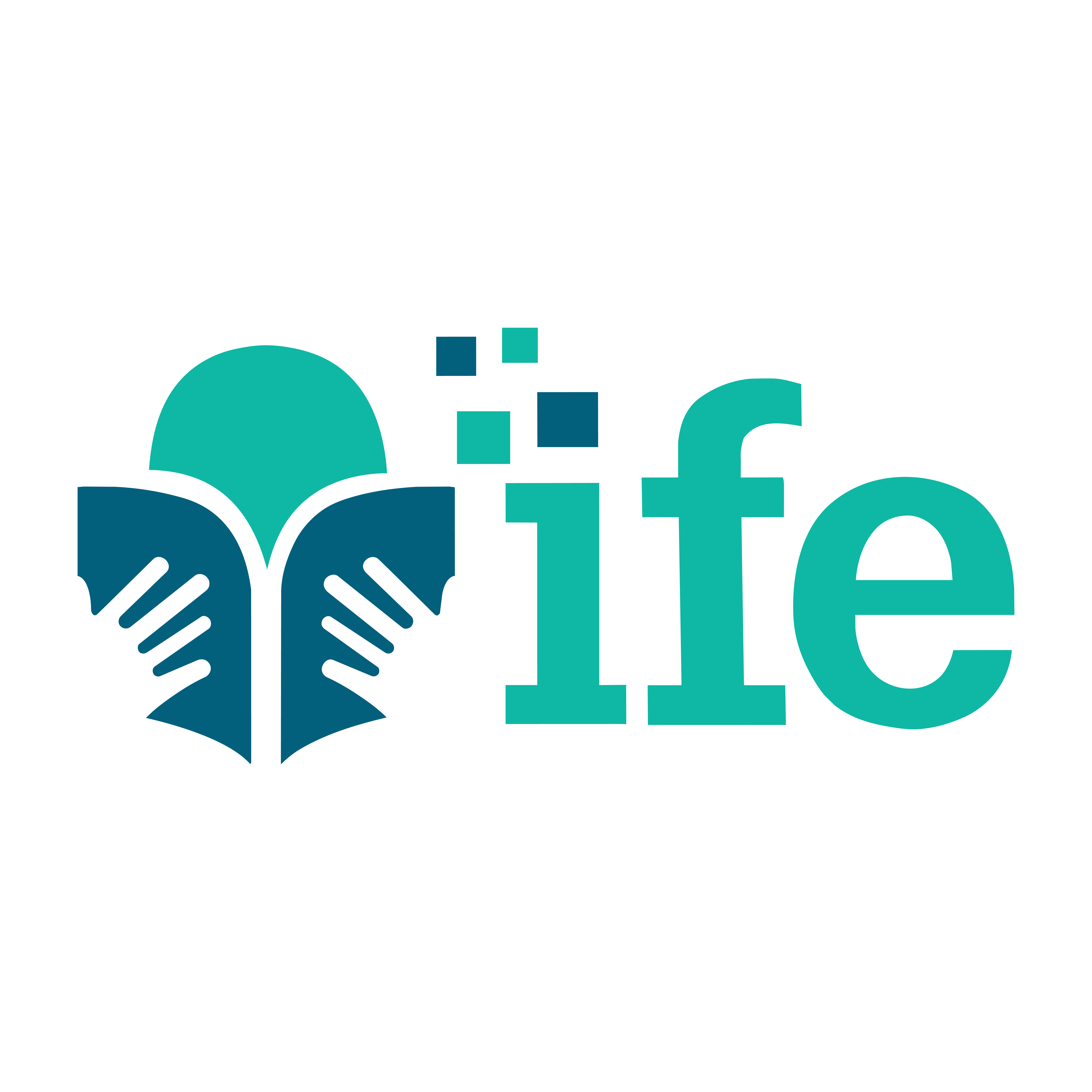Logo de IFE
